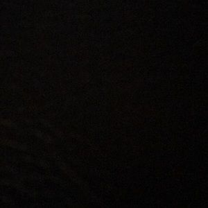 Meet your Posher, Paulette